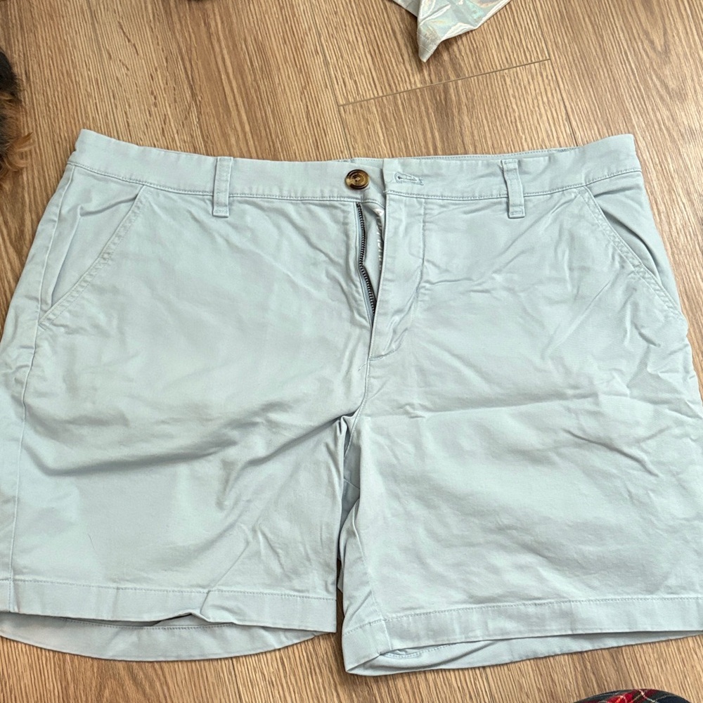 Light Gray Casual Shorts